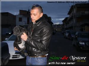 Nestore Sine^die whit new owner