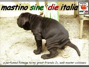 a perfumed homage to my great friends Jc, web master colosseo