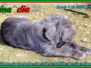 Children of sine^die Sephora by sine^die x Achille del Castellaccio,,