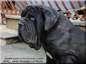 Bella owner Sine^die,,, 18 March 2009,,