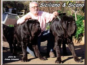 Siciliano & Sicano photo by Johan Schembri