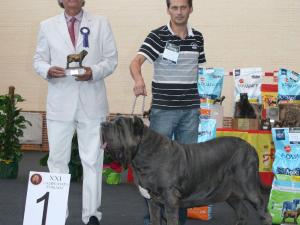 IMG_0870