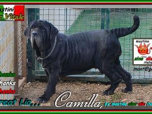 Patrizio Italia,,, TAITU' said Camilla,,,
