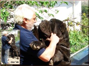 Sicano 2006,