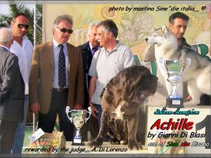 It. Ch. Achille del Regno di Sicilia,,