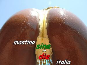 culo nero,,, jpg 1