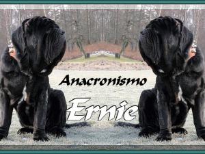 Ernie