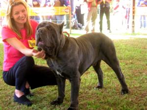 Lorene & mastino5