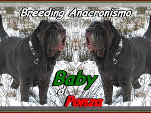 Baby di ponza by Anacronismo,,,
