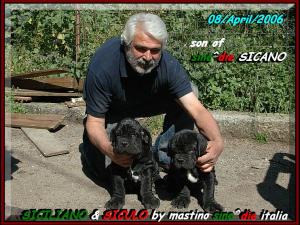 SICILIANO & SICULO son of sine^die SICANO...