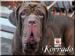 Korrado,,, 17 September 2009