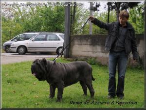 Scisciano 2009,, Remo de Azzurra