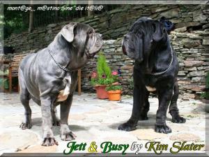 Jett & Busy by Kim Slater