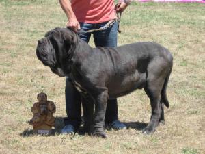 REMO DE AZZURRA expo 9 meses