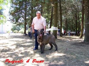 pasquale rusciano  &  bruno cac bob telese 2