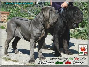 Sephora sine^die Sicano,,, Father & Daughter... owner mastino sine^die italia,,,