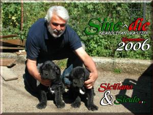 Siciliano & Siculo,,,