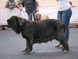 IMG_0778