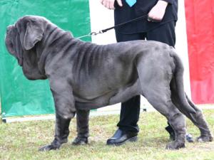 3exIntMaleIMG_7958
