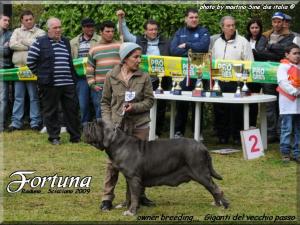 Fortuna by Giganti del Vecchio Passo,